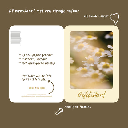 Productfoto met de unieke eigenschappen van een verjaardagskaart met de tekst "gefeliciteerd" met een foto wit- gele bloemen.
