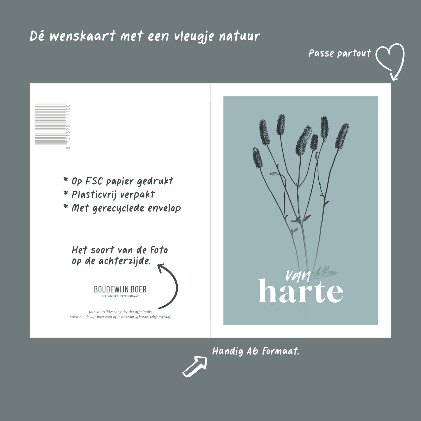 Productfoto met de unieke eigenschappen van een verjaardagskaart met de tekst "van harte". Op de kaart een licht blauwe foto van een Pimpernel in een abstracte opstelling. 