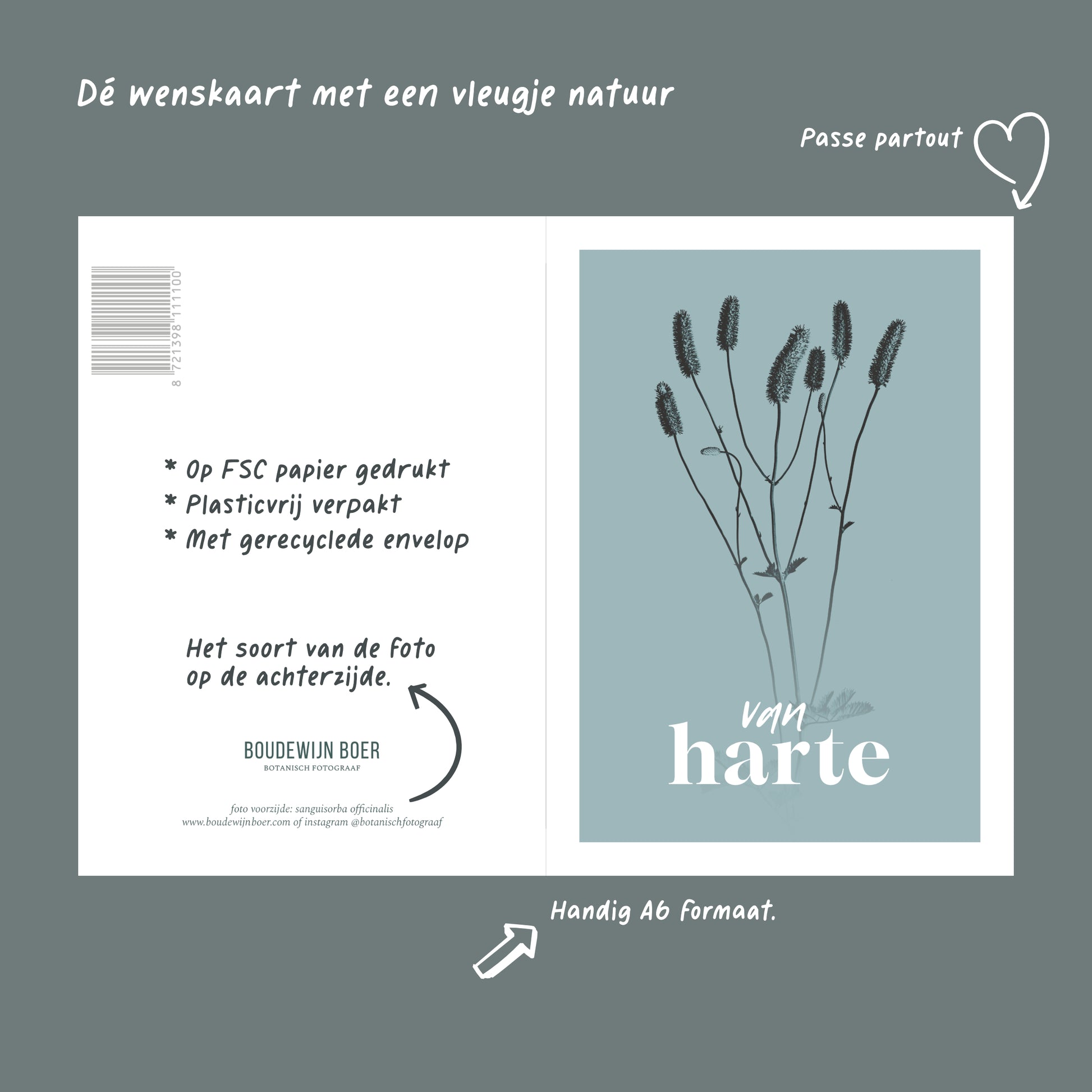 Productfoto met de unieke eigenschappen van een verjaardagskaart met de tekst "van harte". Op de kaart een licht blauwe foto van een Pimpernel in een abstracte opstelling. 