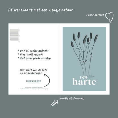 Productfoto met de unieke eigenschappen van een verjaardagskaart met de tekst "van harte". Op de kaart een licht blauwe foto van een Pimpernel in een abstracte opstelling. 