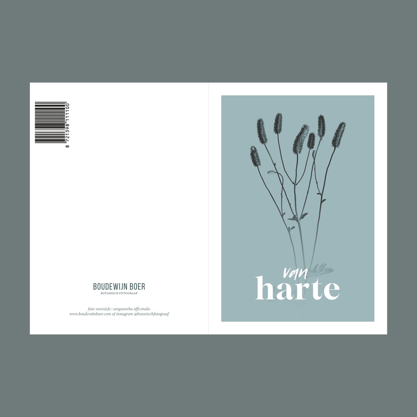 Voor- en achterzijde van een verjaardagskaart met de tekst "van harte". Op de kaart een licht blauwe foto van een Pimpernel in een abstracte opstelling. 