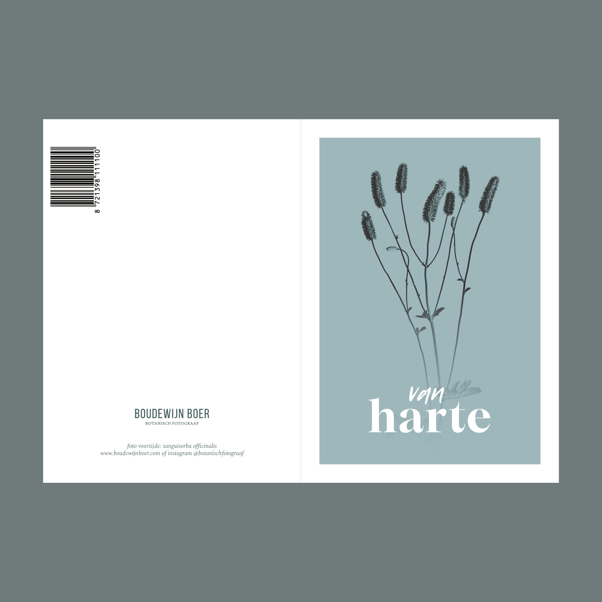 Voor- en achterzijde van een verjaardagskaart met de tekst "van harte". Op de kaart een licht blauwe foto van een Pimpernel in een abstracte opstelling. 