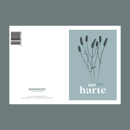 Voor- en achterzijde van een verjaardagskaart met de tekst "van harte". Op de kaart een licht blauwe foto van een Pimpernel in een abstracte opstelling. 