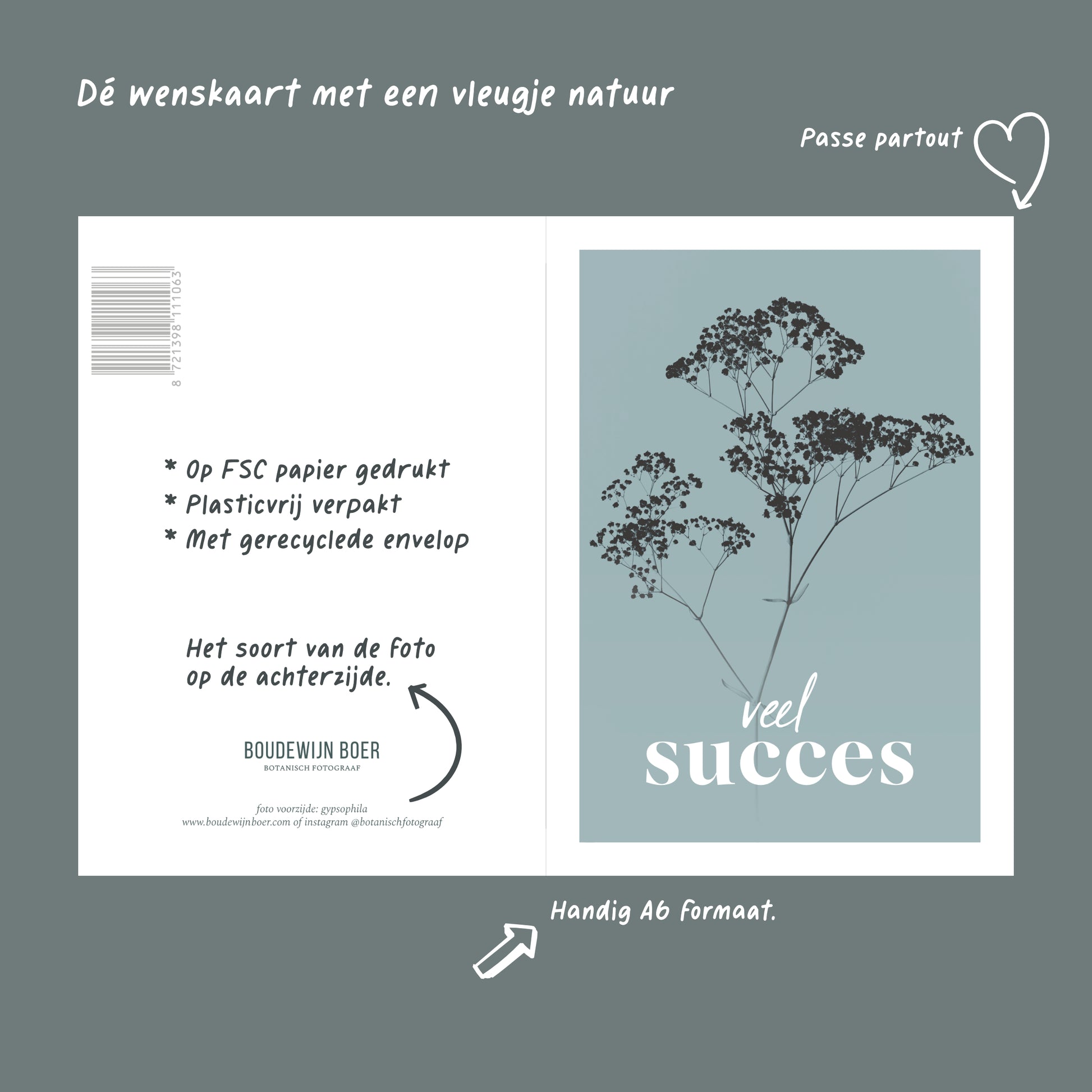 Productfoto met de unieke eigenschappen van een wenskaart met de tekst "veel succes". Op de kaart een licht blauwe foto van Gipskruid in een abstracte opstelling. 