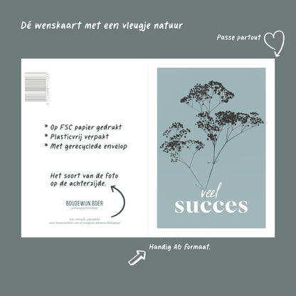 Productfoto met de unieke eigenschappen van een wenskaart met de tekst "veel succes". Op de kaart een licht blauwe foto van Gipskruid in een abstracte opstelling. 
