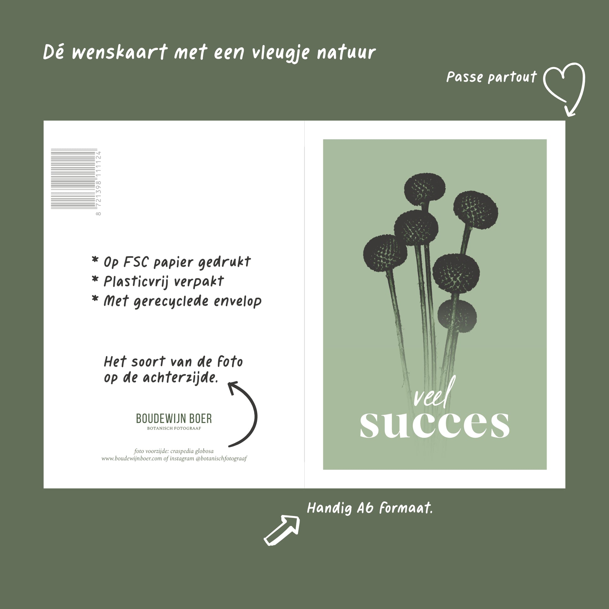 Productfoto met de unieke eigenschappen van een wenskaart met de tekst "veel succes". Op de kaart een licht groene foto van Craspedia's in een abstracte opstelling. 