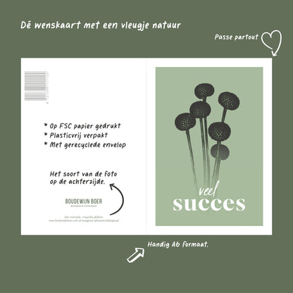 Productfoto met de unieke eigenschappen van een wenskaart met de tekst "veel succes". Op de kaart een licht groene foto van Craspedia's in een abstracte opstelling. 