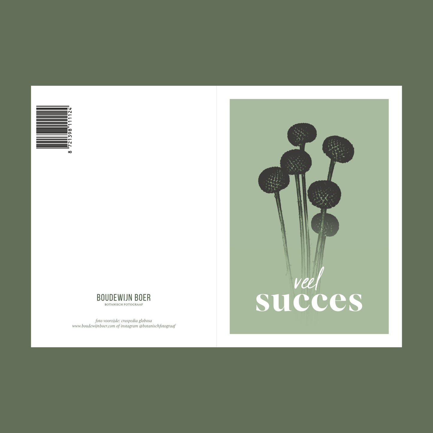 Voor- en achterzijde van een wenskaart met de tekst "veel succes". Op de kaart een licht groene foto van Craspedia's in een abstracte opstelling. 