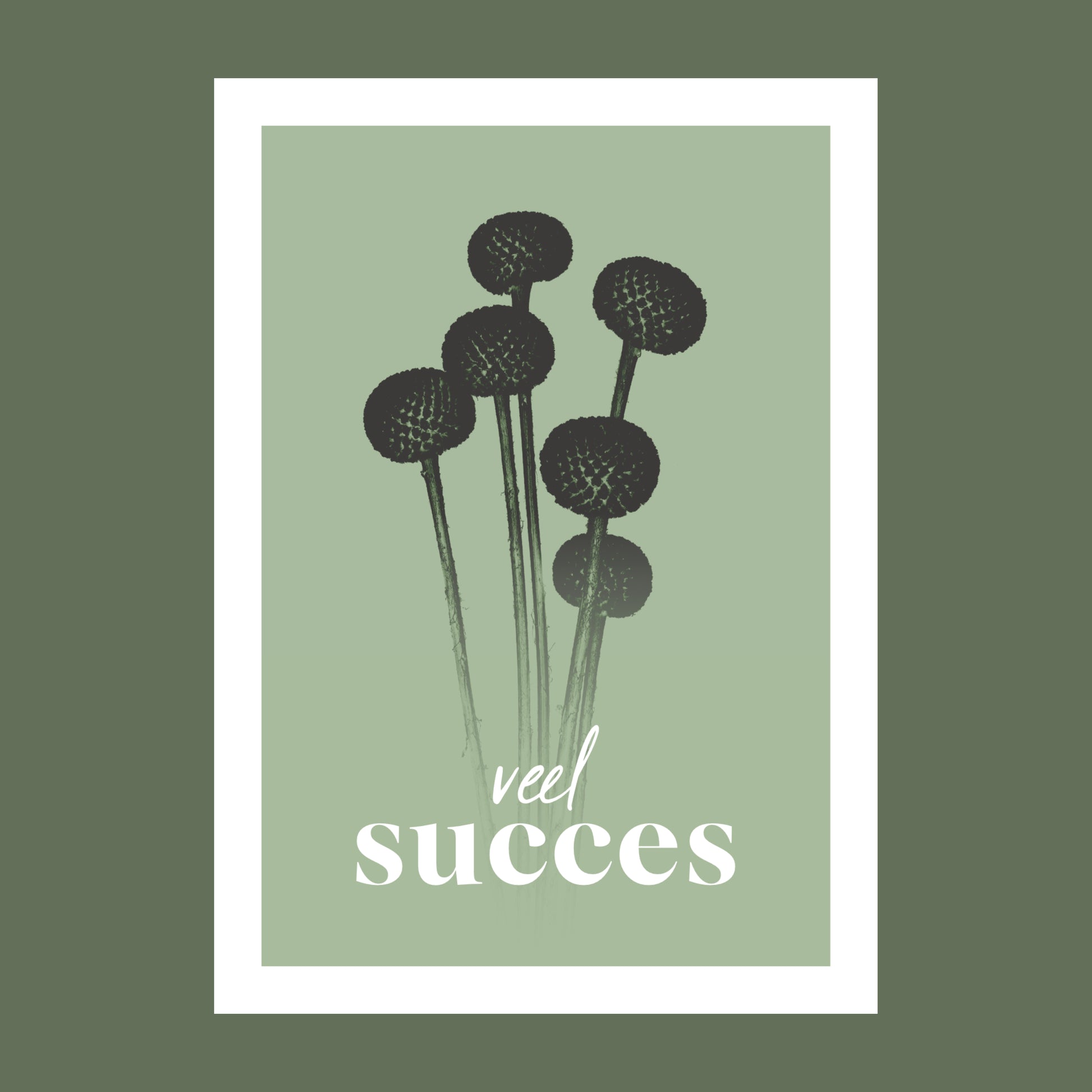 Productfoto van een wenskaart met de tekst "veel succes". Op de kaart een licht groene foto van Craspedia's in een abstracte opstelling. 
