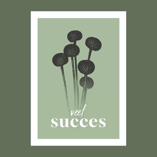 Productfoto van een wenskaart met de tekst "veel succes". Op de kaart een licht groene foto van Craspedia's in een abstracte opstelling. 